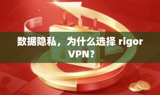 数据隐私，为什么选择 rigor VPN？