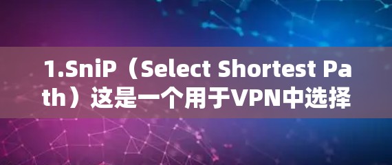 1.SniP（Select Shortest Path）这是一个用于VPN中选择最短路径的协议，旨在通过多步选择和路径选择来确保数据的最短传输时间和最安全的加密方式
