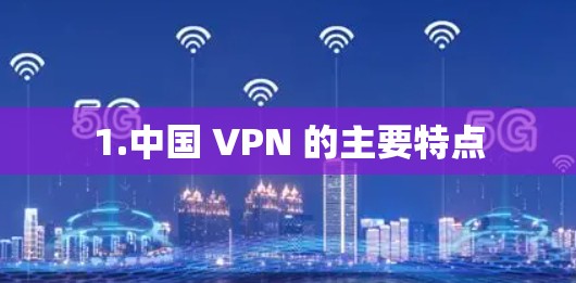 1.中国 VPN 的主要特点