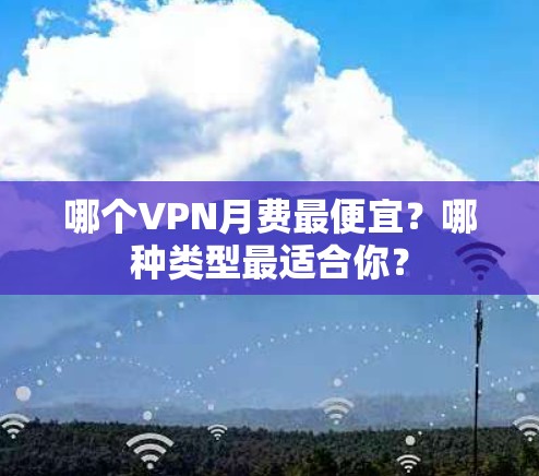 哪个VPN月费最便宜？哪种类型最适合你？