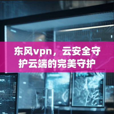 东风vpn，云安全守护云端的完美守护者