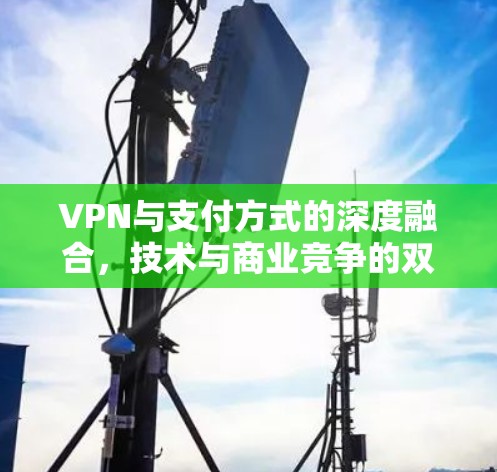 VPN与支付方式的深度融合，技术与商业竞争的双刃剑