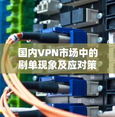 国内VPN市场中的刷单现象及应对策略