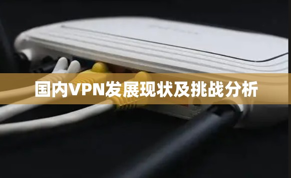 国内VPN发展现状及挑战分析