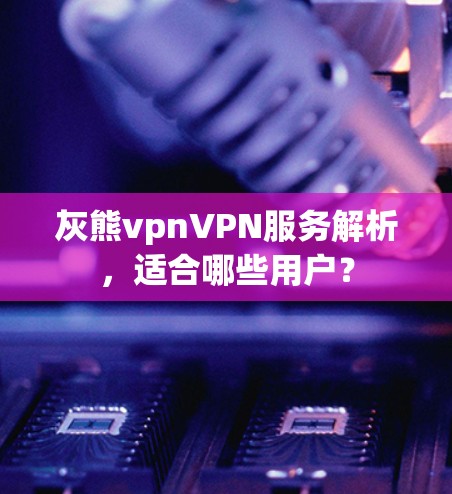 灰熊vpnVPN服务解析，适合哪些用户？