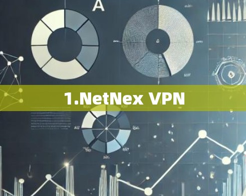 1.NetNex VPN 1.NetNex VPN