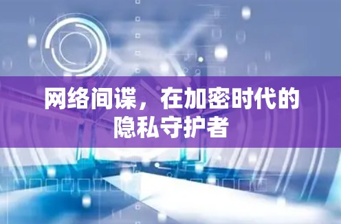网络间谍，在加密时代的隐私守护者