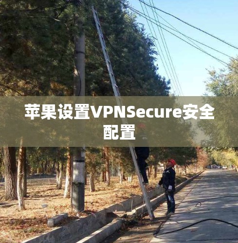 苹果设置VPNSecure安全配置