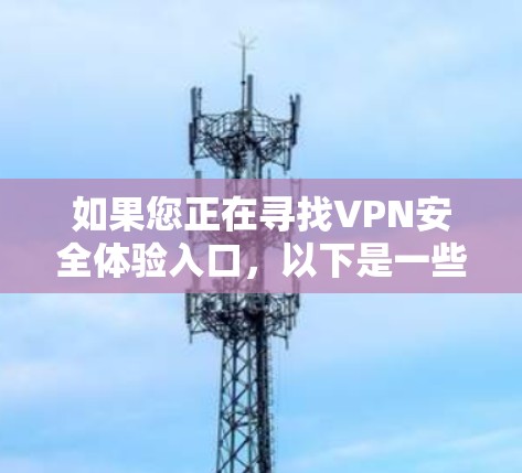 如果您正在寻找VPN安全体验入口，以下是一些综合考虑的安全和方便的选择