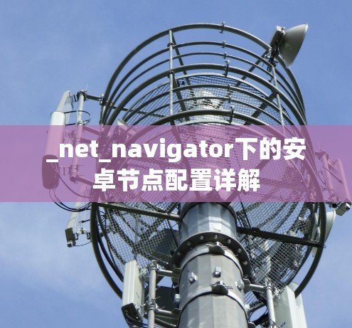 _net_navigator下的安卓节点配置详解