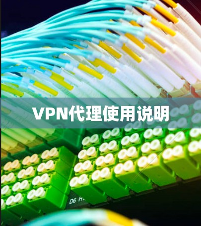 VPN代理使用说明