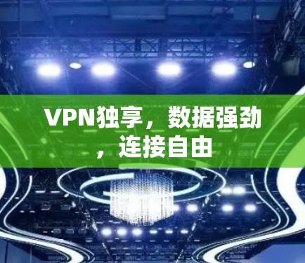 VPN独享，数据强劲，连接自由