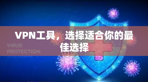VPN工具,选择适合你的最佳选择 VPN工具,选择适合你的最佳选择