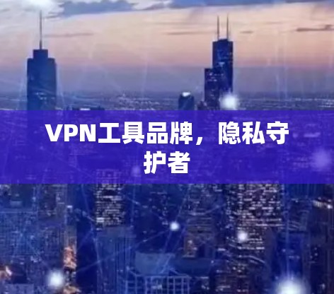 VPN工具品牌,隐私守护者 VPN工具品牌,隐私守护者