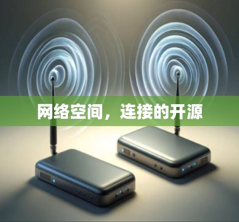 网络空间，连接的开源