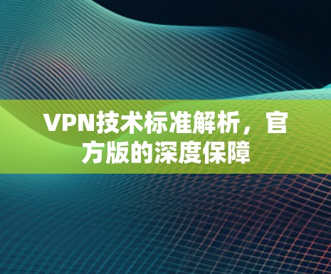 VPN技术标准解析，官方版的深度保障