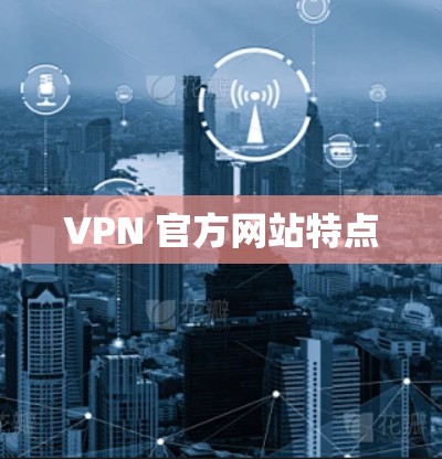 VPN 官方网站特点