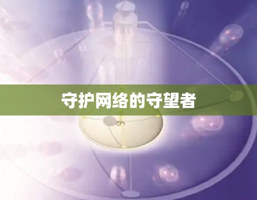守护网络的守望者 守护网络的守望者