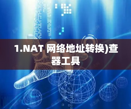 1.NAT 网络地址转换)查器工具