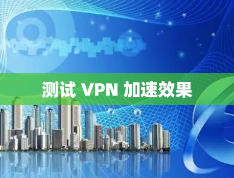测试 VPN 加速效果