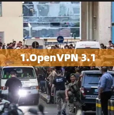 1.OpenVPN 3.1