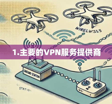 1.主要的VPN服务提供商