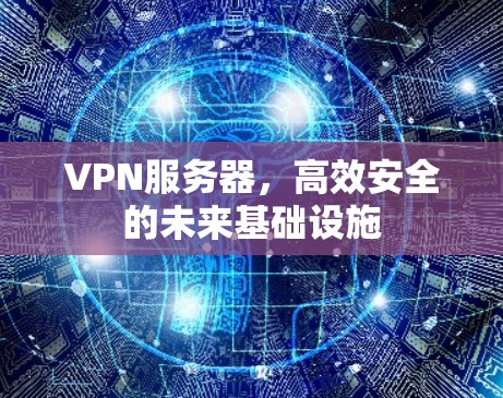 VPN服务器,高效安全的未来基础设施 VPN服务器,高效安全的未来基础设施
