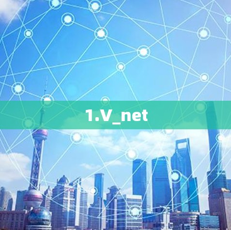 1.V_net