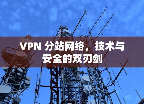 VPN 分站网络，技术与安全的双刃剑